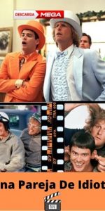 Una Pareja De Idiotas ver película online