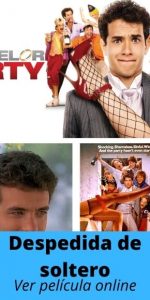 Despedida de soltero ver película online