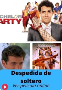Despedida de soltero ver película online