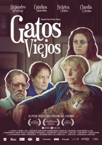 gatos viejos