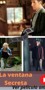 La ventana Secreta ver película online