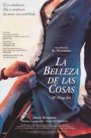 ver película online la belleza de las cosas