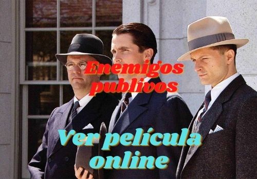 ver película online enemigos públicos