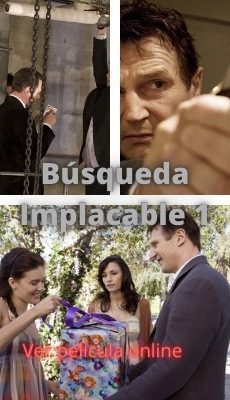 Búsqueda Implacable 1 ver película online