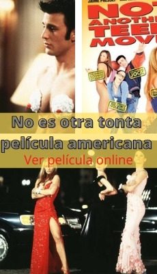No es otra tonta película americana ver película online