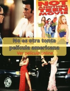 No es otra tonta película americana ver película online