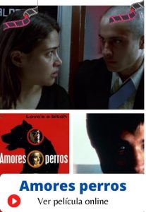Amores perros ver película online