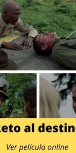 Reto al destino ver película online