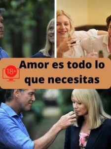 Amor es todo lo que necesitas ver película online