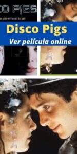 Disco Pigs ver película online