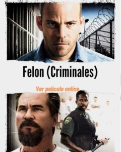 Felon (Criminales) ver película online