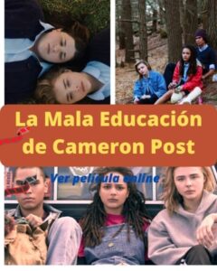 La Mala Educación de Cameron Post ver película online
