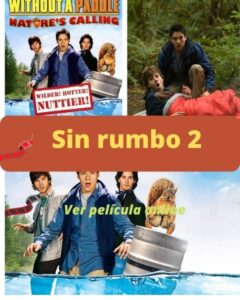 Sin rumbo 2 ver película online